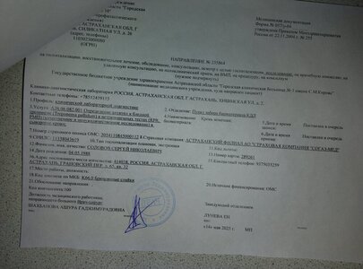 от 14.05.25 Кровь трипанема на 06.06.25.jpg